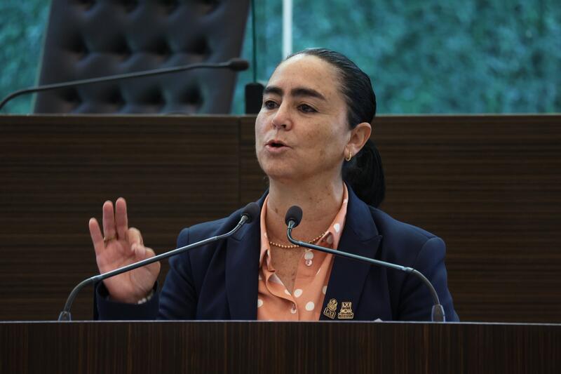 Privilegiar la seguridad de todas y todos siempre será la prioridad: Diputada Tere Calzada Borrador automático