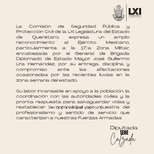 Borrador automático