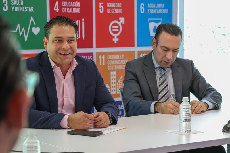 Borrador automático