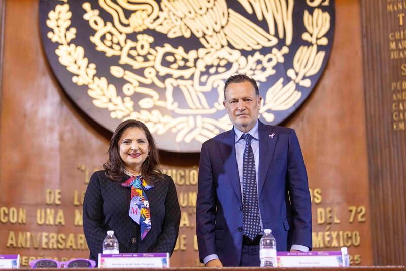 Borrador automático