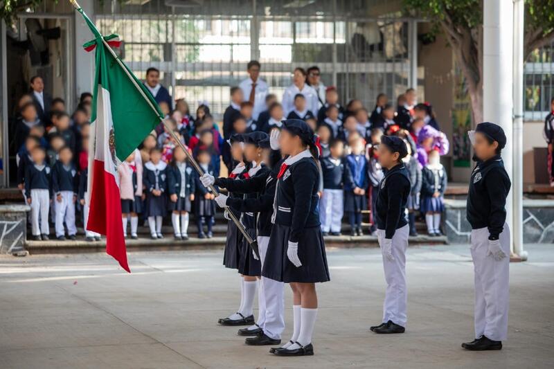 Borrador automático