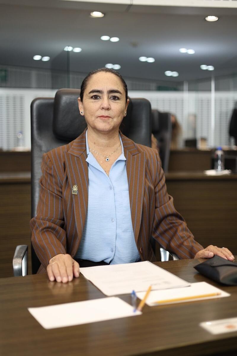 Borrador automático