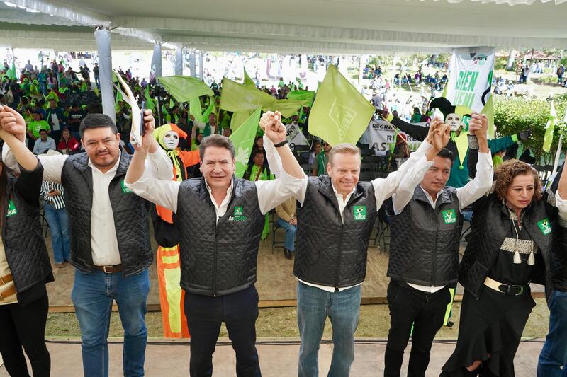 Borrador automático