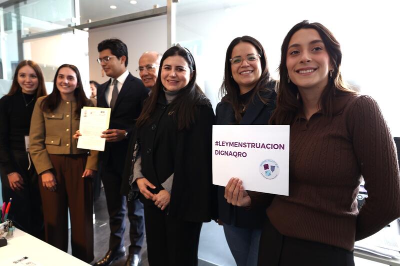 Borrador automático