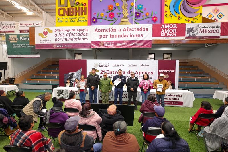 Borrador automático