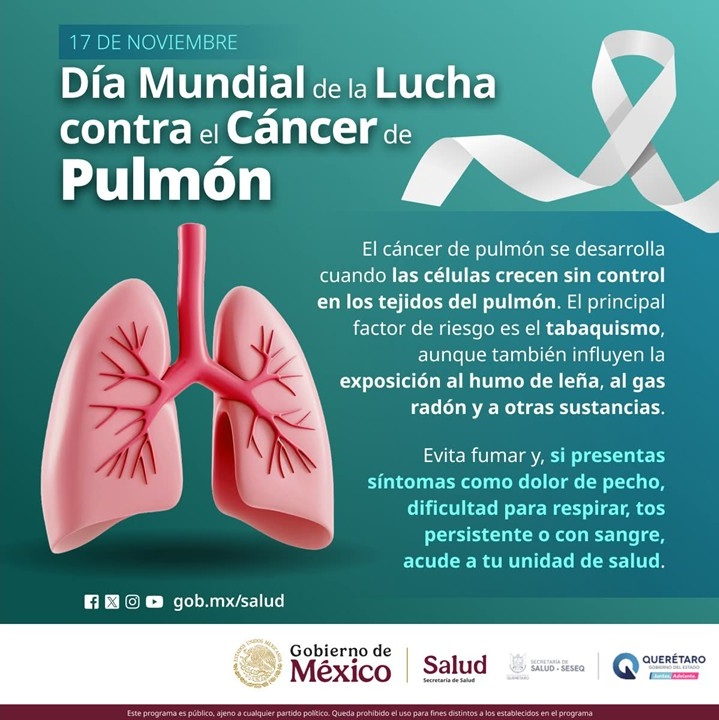 Borrador automático