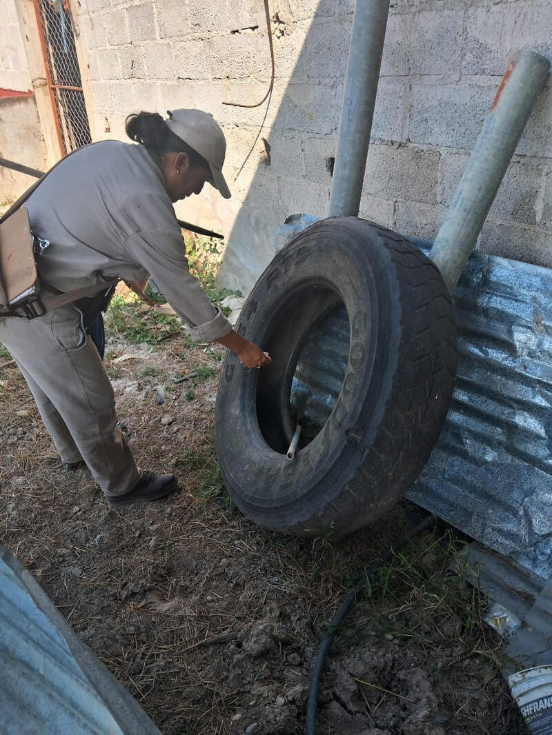 Borrador automático