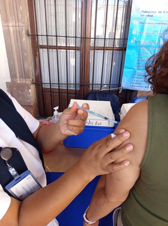 Borrador automático