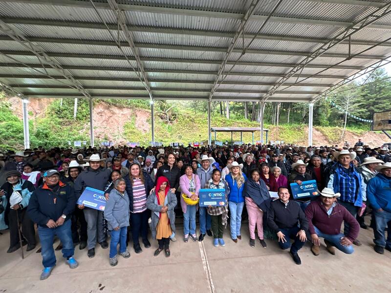 Borrador automático