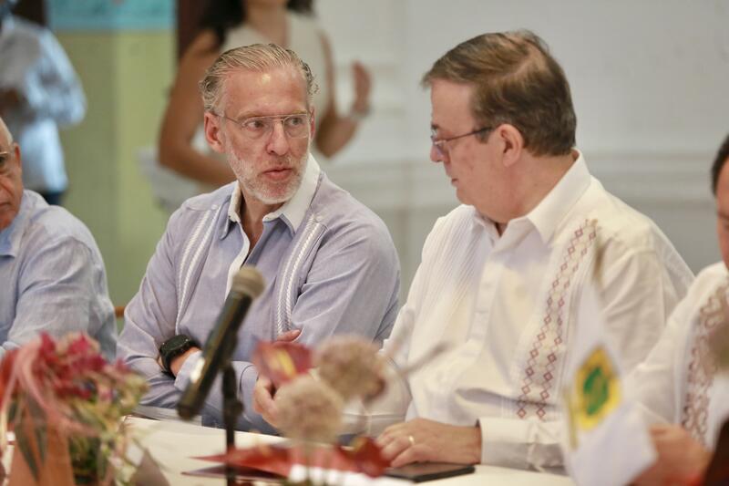 Borrador automático