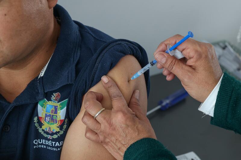 Borrador automático