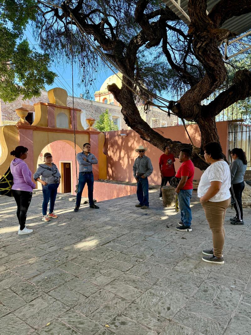 Borrador automático