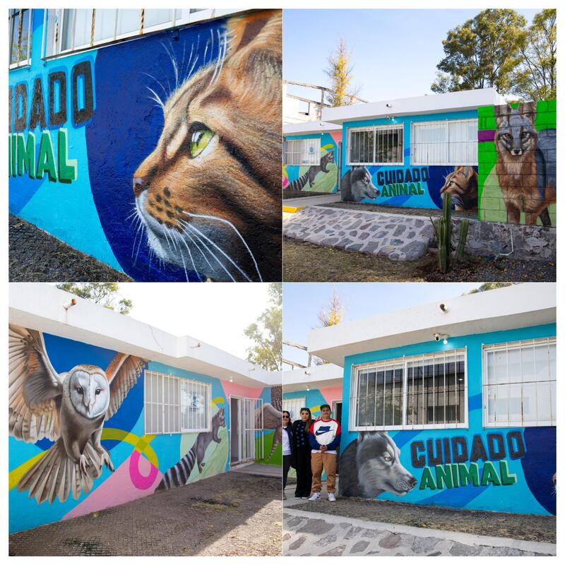 Borrador automático