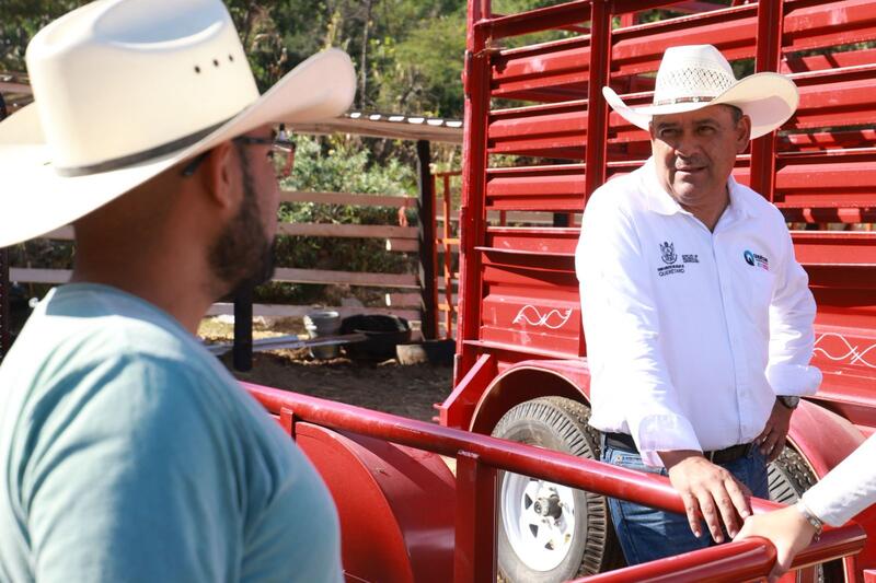 Borrador automático