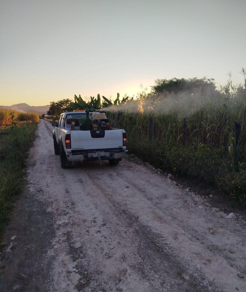 Borrador automático