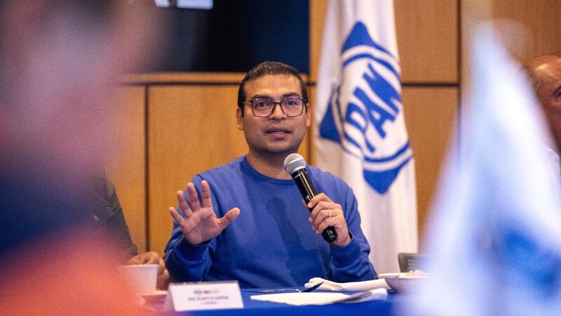 Borrador automático