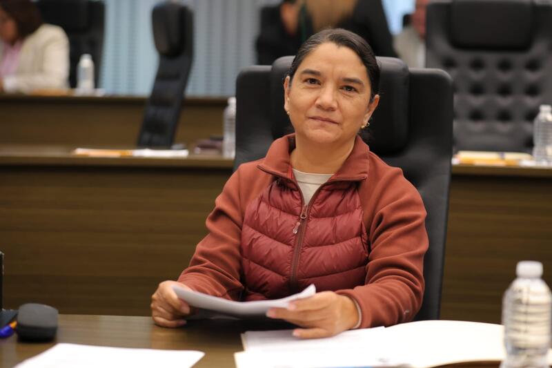 Borrador automático