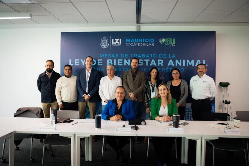 Continúan mesas de diálogo sobre la Ley de Bienestar Animal del Estado de Querétaro Borrador automático