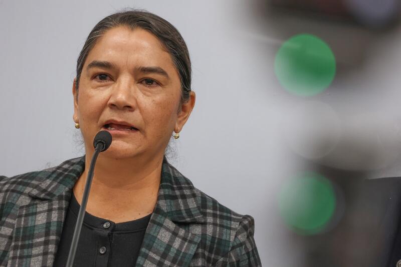 Borrador automático