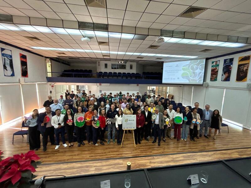 Borrador automático