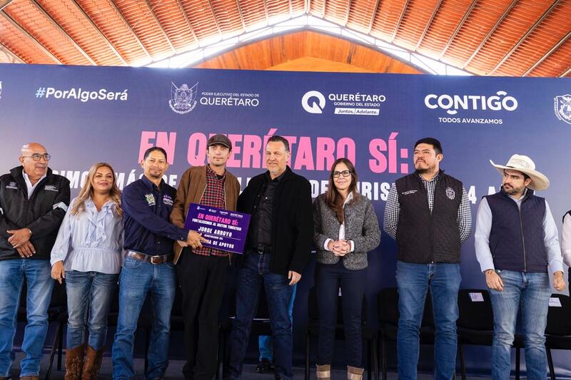 Borrador automático