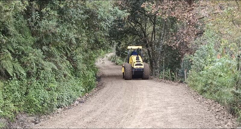 Borrador automático