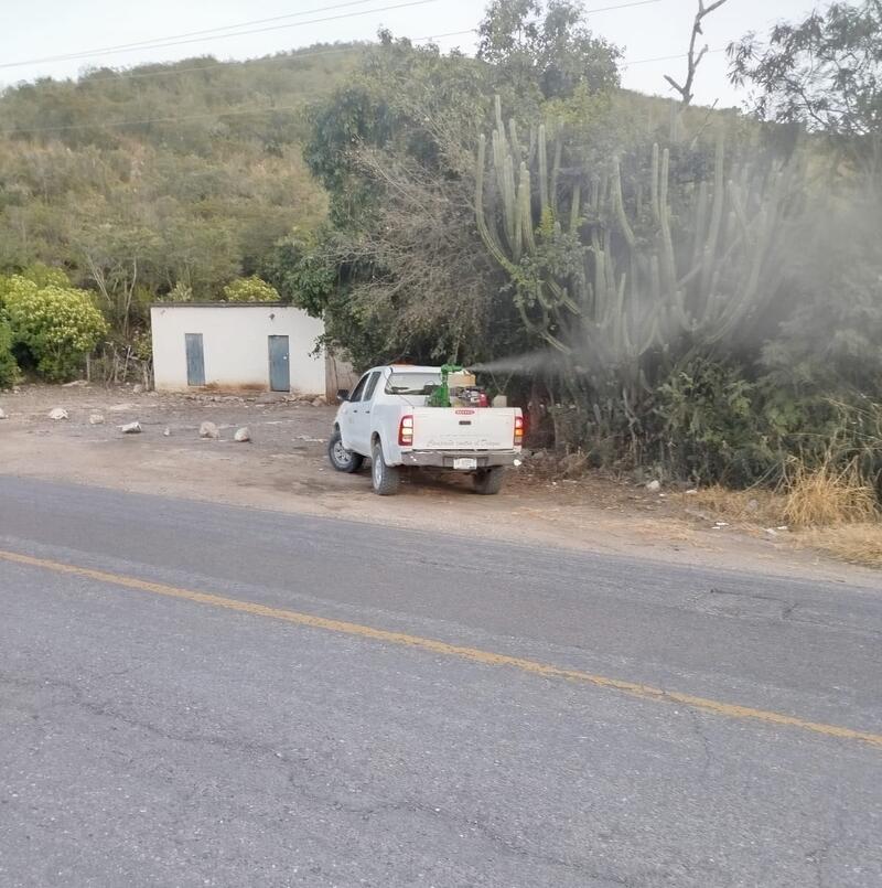 Borrador automático