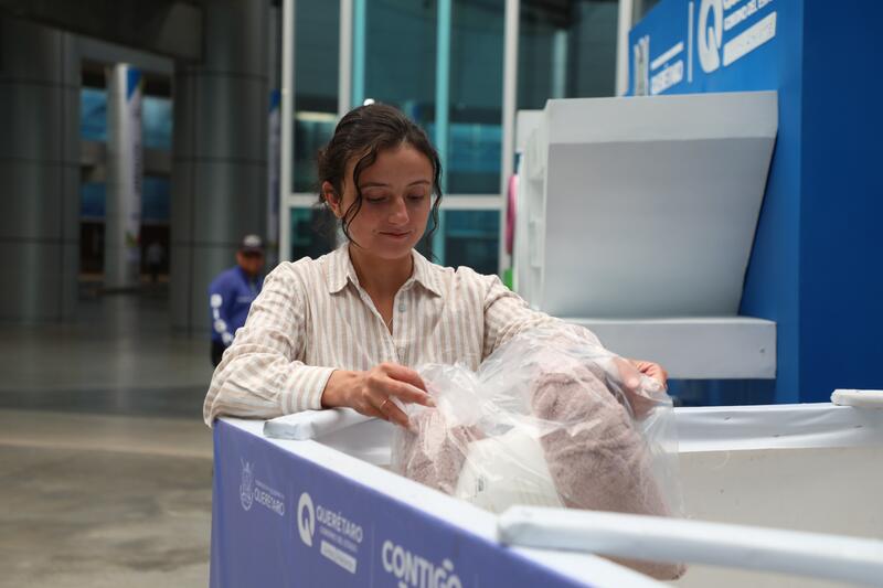 Borrador automático