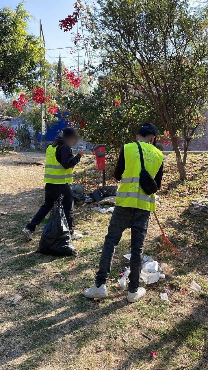 Borrador automático