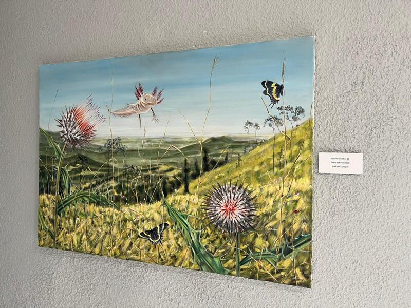 Borrador automático