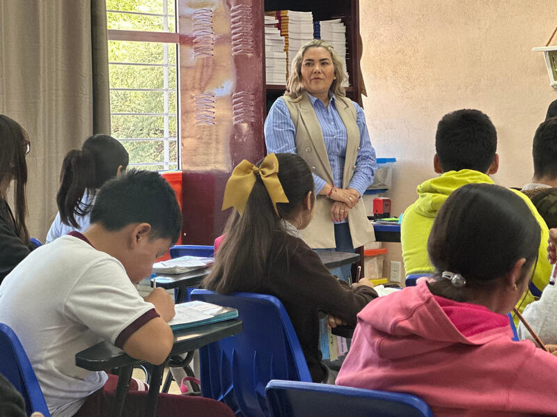 Borrador automático