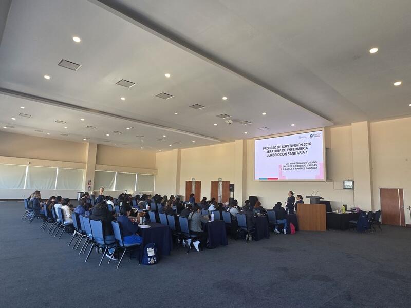 Borrador automático