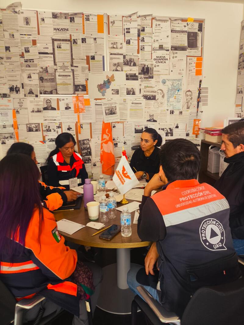 Borrador automático