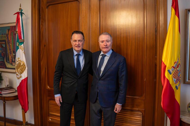 Borrador automático