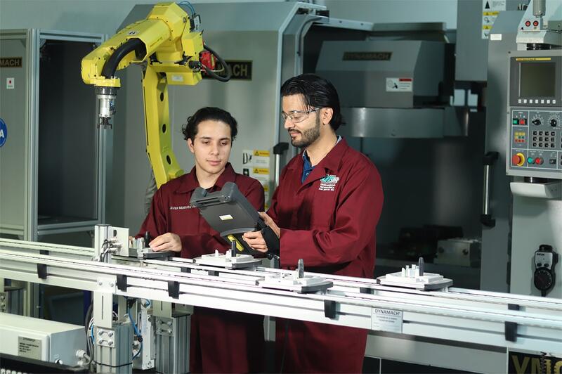 Borrador automático