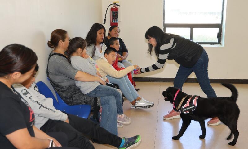 Arrancó el SEDIF con el servicio de caninoterapia en el CRIQ