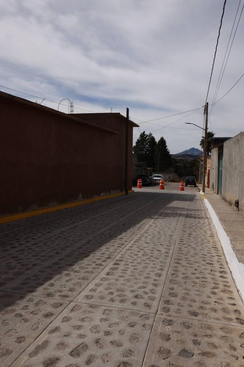 Borrador automático