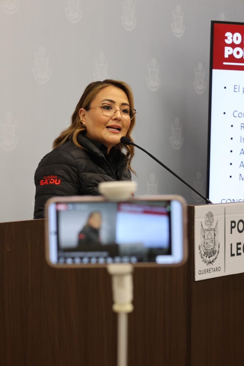 Borrador automático