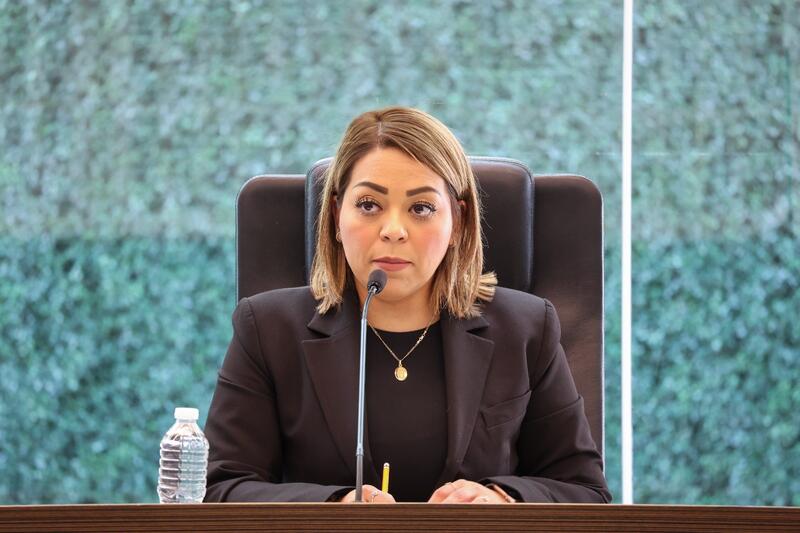 Borrador automático