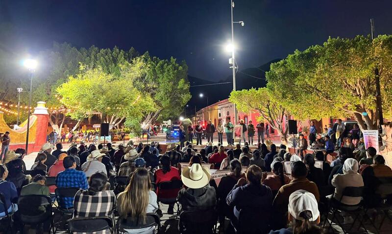 Borrador automático