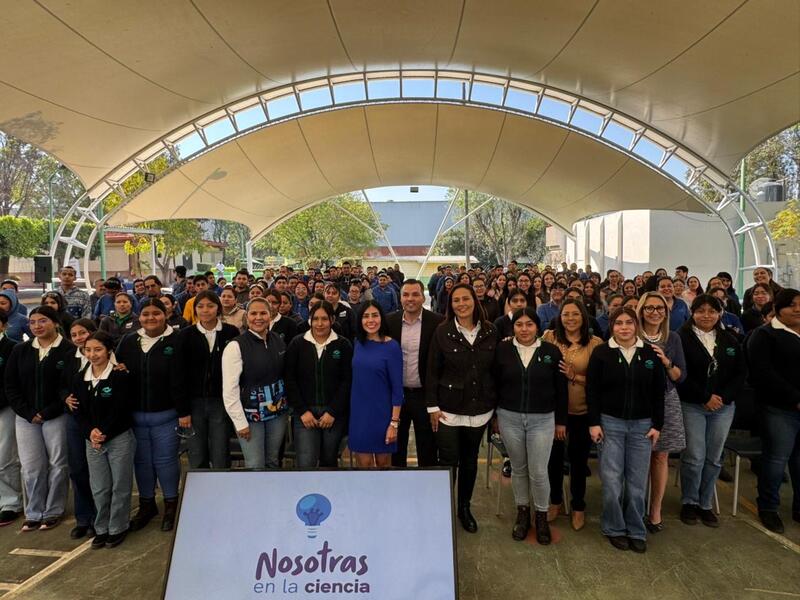 Borrador automático