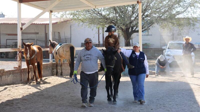 Inicia SEDIF con las sesiones de equinoterapia 2026 Borrador automático