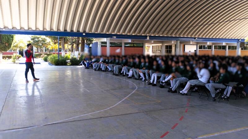 Borrador automático