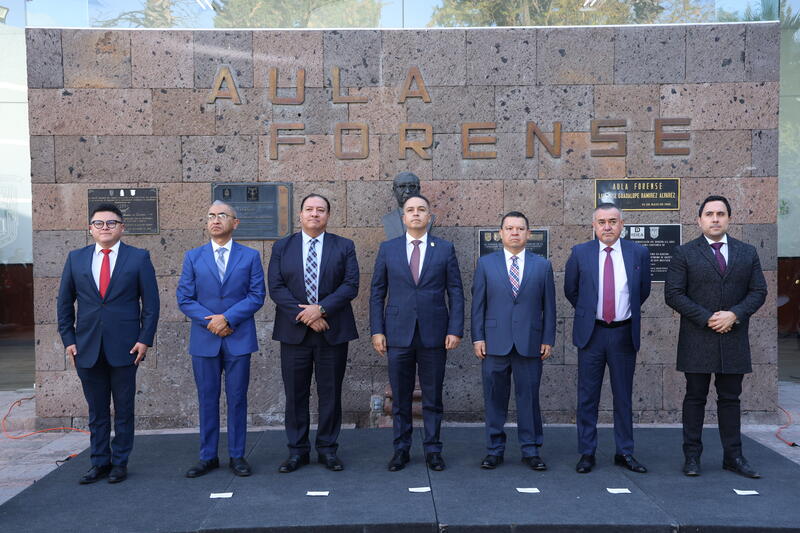 Borrador automático