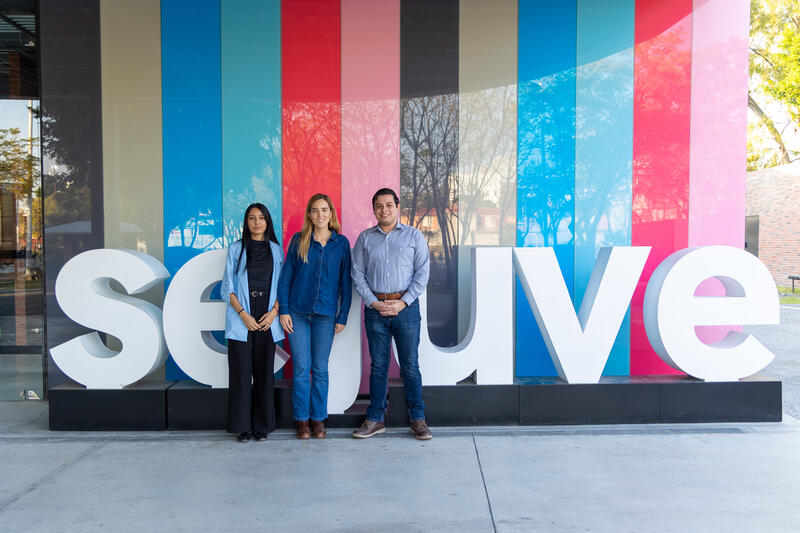 Borrador automático