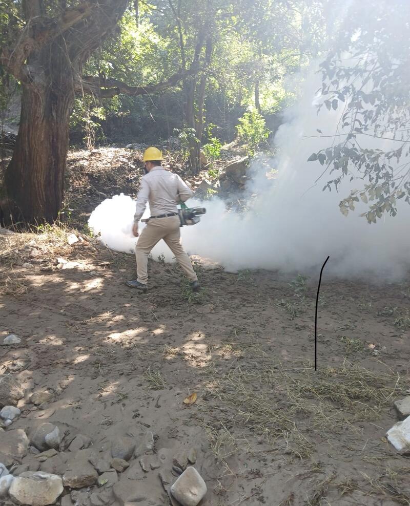 Refuerza SESA acciones de vigilancia epidemiológica contra el dengue Borrador automático