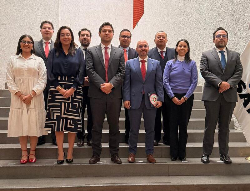 Borrador automático