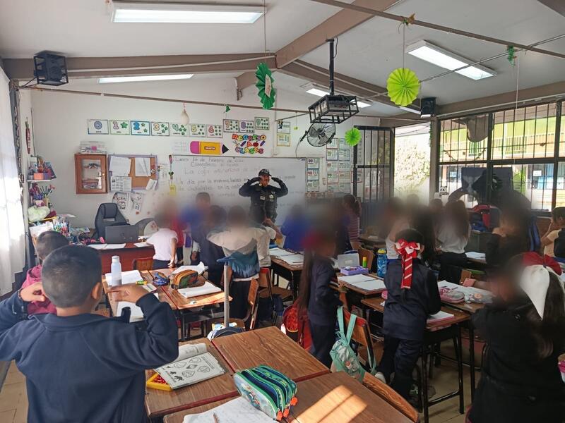 Borrador automático