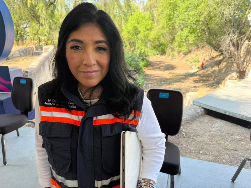 Borrador automático