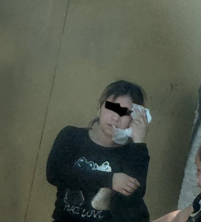 Borrador automático